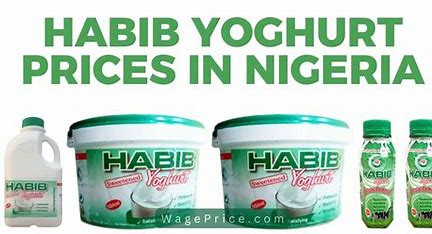 HABIB YOGHURT 1L