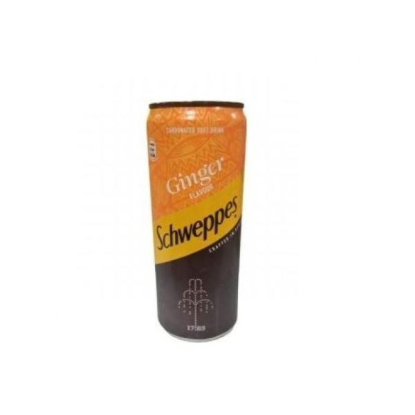 SCHWEPPES GINGER CAN 33CL