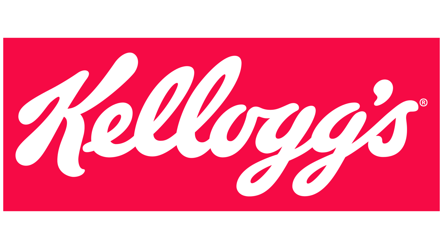 KELLOGG`S