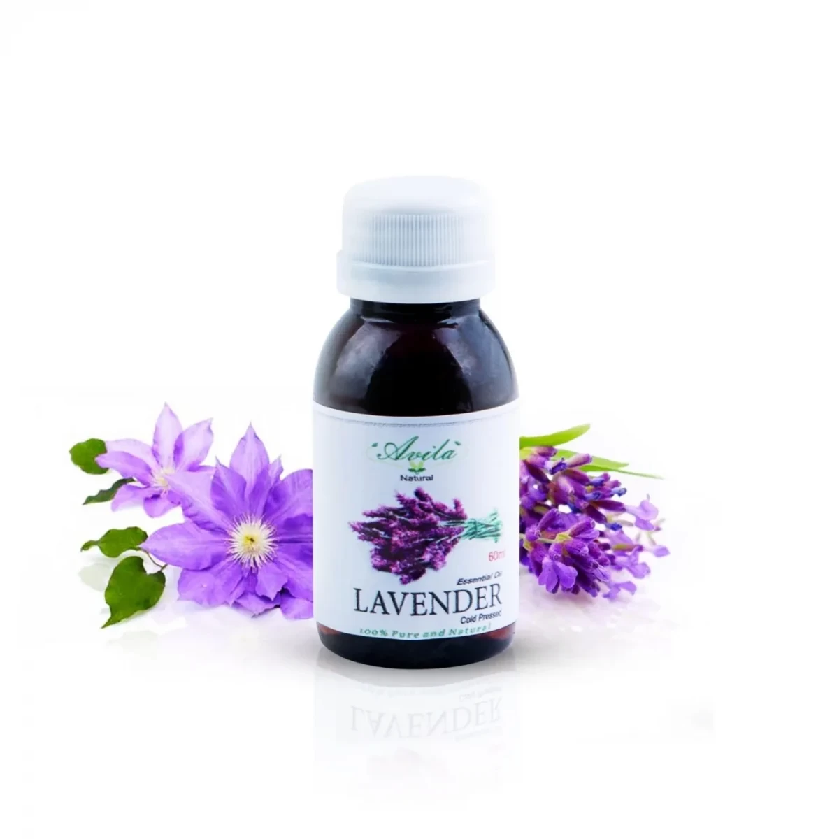 AVILA LAVENDER OIL 50ML