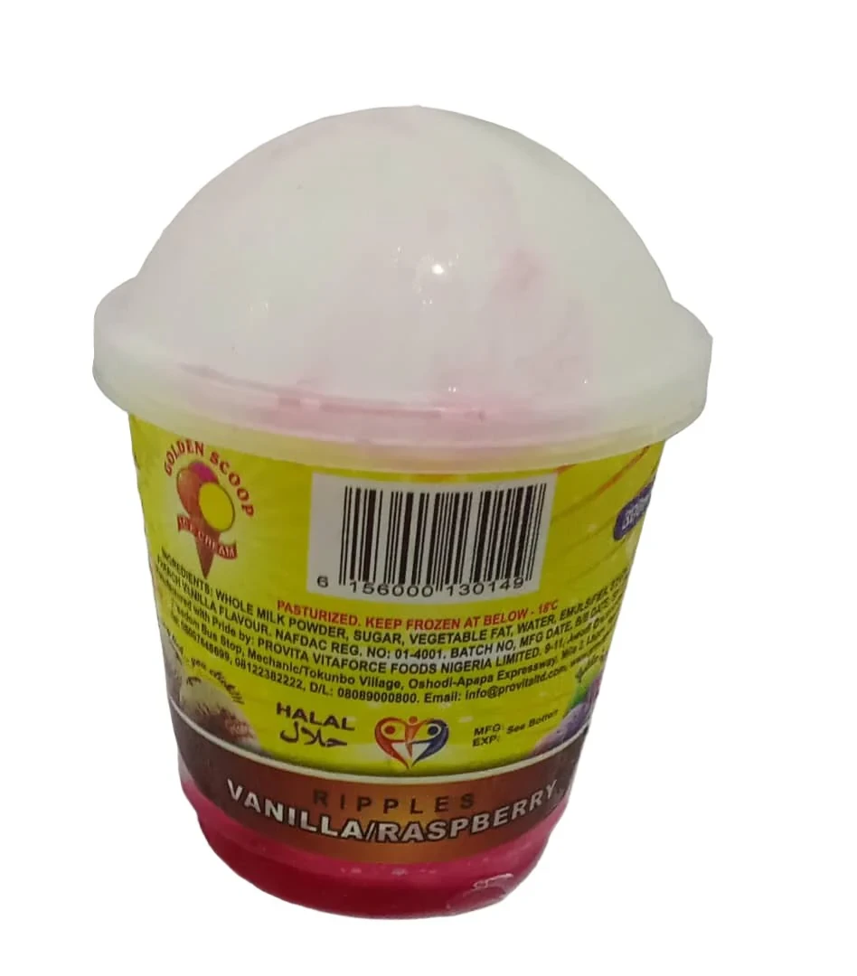 GOLDEN SCOOP ALL FLAVOUR ICE CREAM 300ML